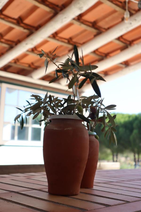 Villa Monte Santo à Montargil Extérieur photo
